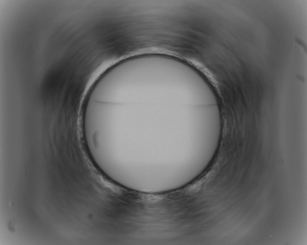 X0000091901278200709051056
