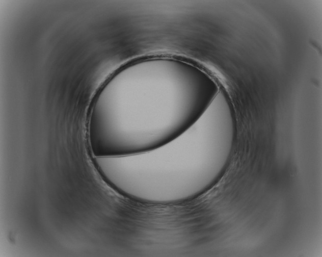X0000091901279200709051056