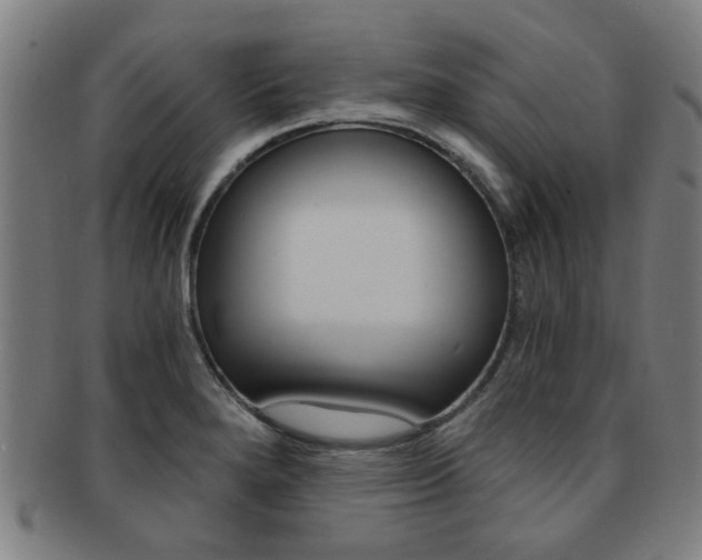 X0000091901280200709051056