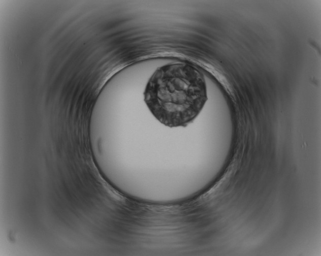 X0000091901281200709051056