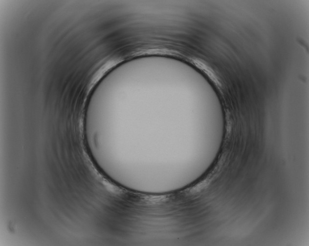 X0000091901282200709051056