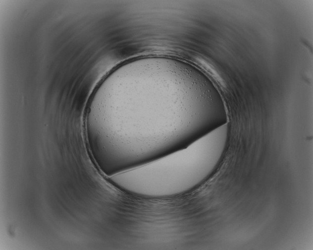 X0000091901283200709051056