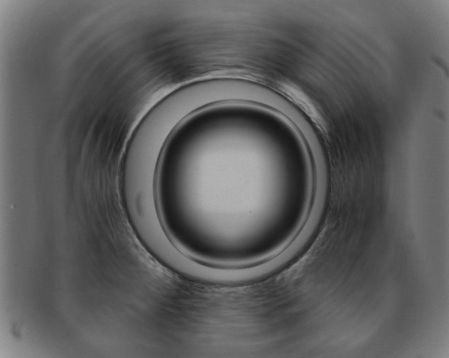 X0000091901284200709051056
