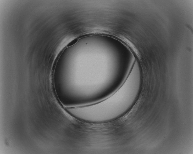 X0000091901285200709051056