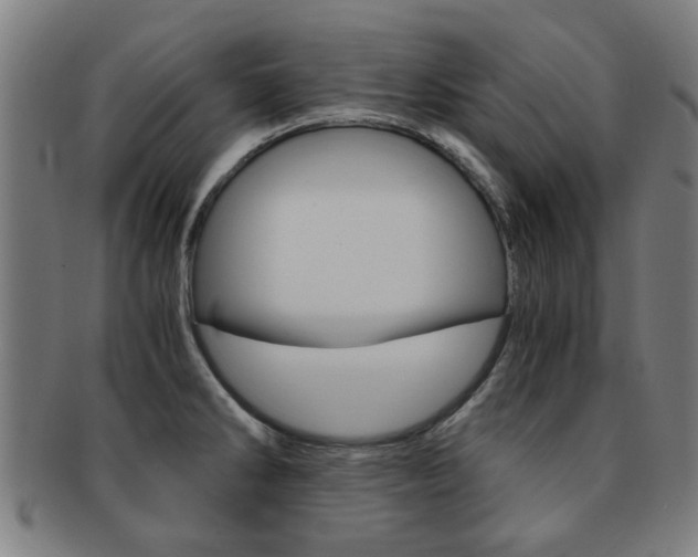 X0000091901286200709051056