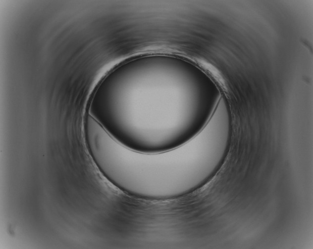 X0000091901288200709051056