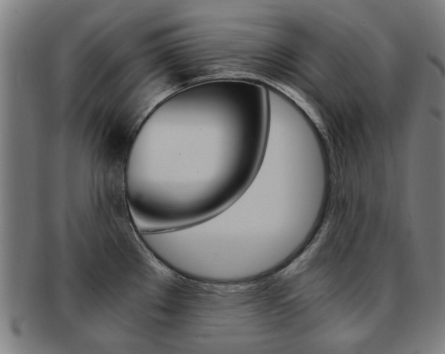 X0000091901289200709051056
