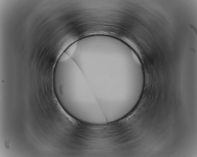 X0000091901290200709051056