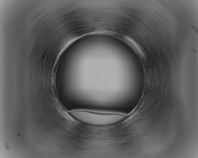 X0000091901292200709051056