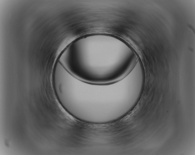 X0000091901293200709051056