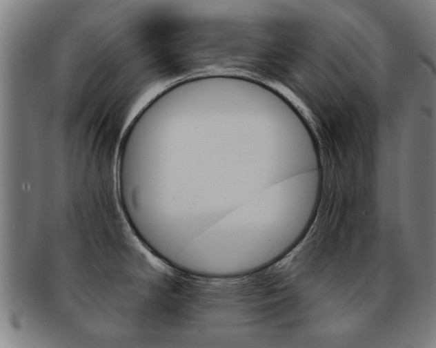 X0000091901294200709051056