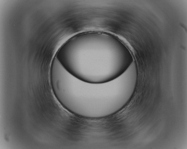 X0000091901295200709051056