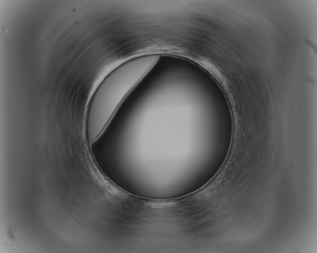 X0000091901296200709051056