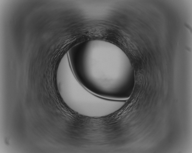 X0000091901297200709051056