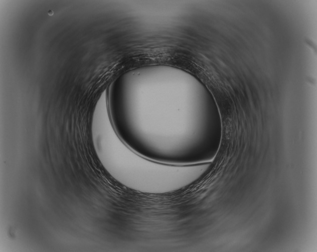 X0000091901298200709051056