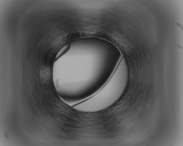 X0000091901299200709051056