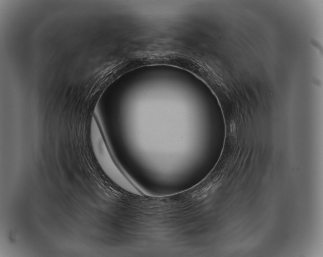 X0000091901300200709051056