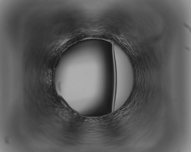 X0000091901301200709051056