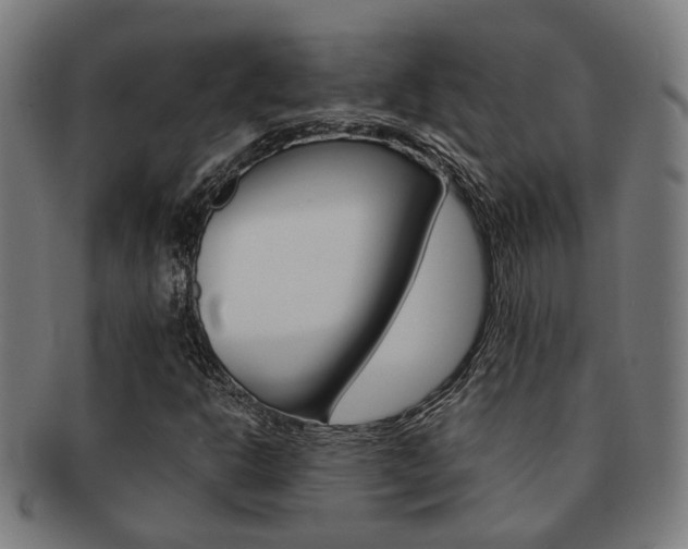 X0000091901302200709051056