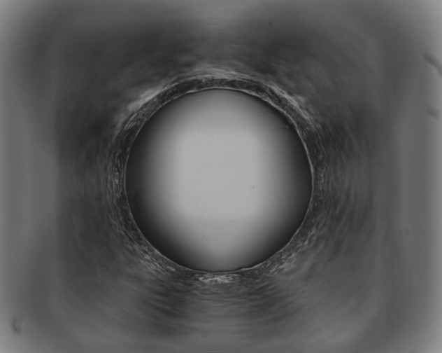 X0000091901303200709051056