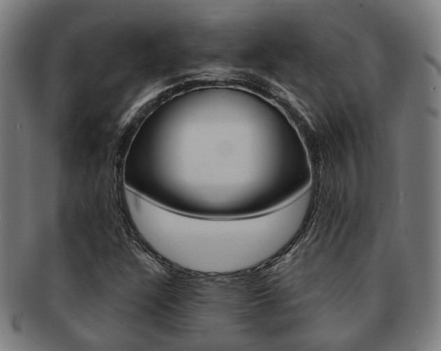 X0000091901304200709051056