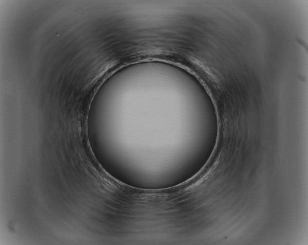 X0000091901305200709051056