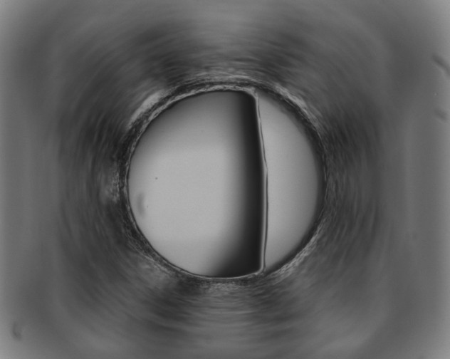 X0000091901306200709051056