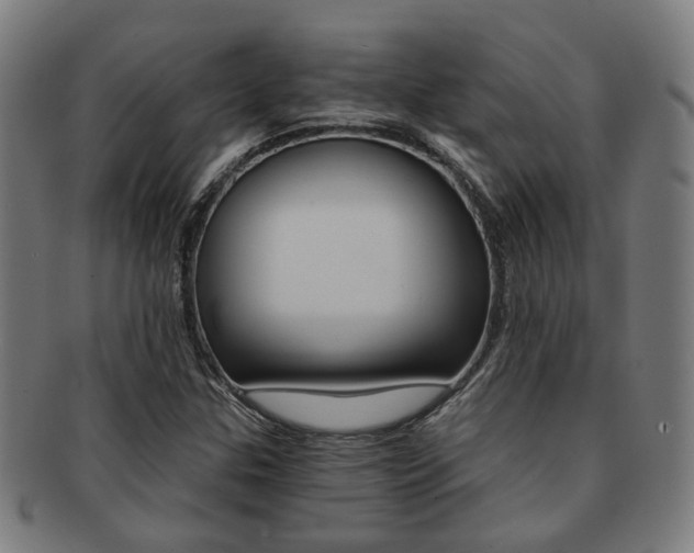 X0000091901307200709051056