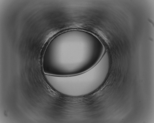 X0000091901308200709051056