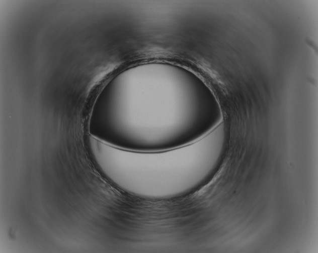 X0000091901309200709051056