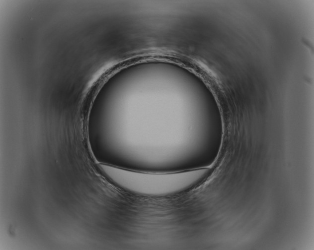 X0000091901310200709051056