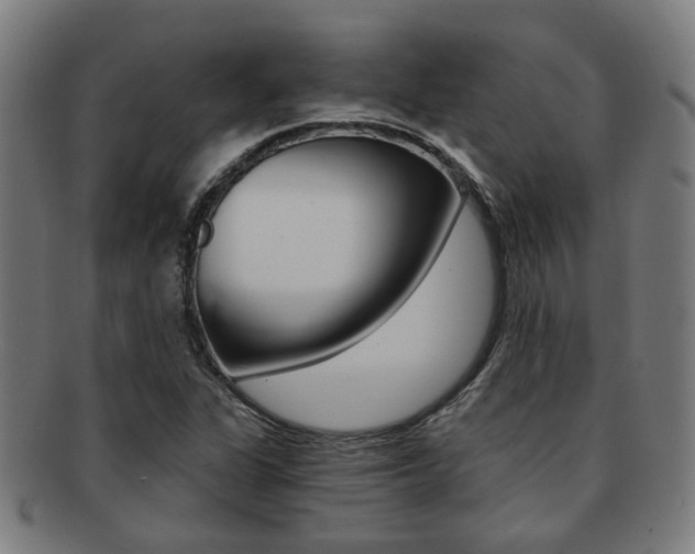 X0000091901311200709051056