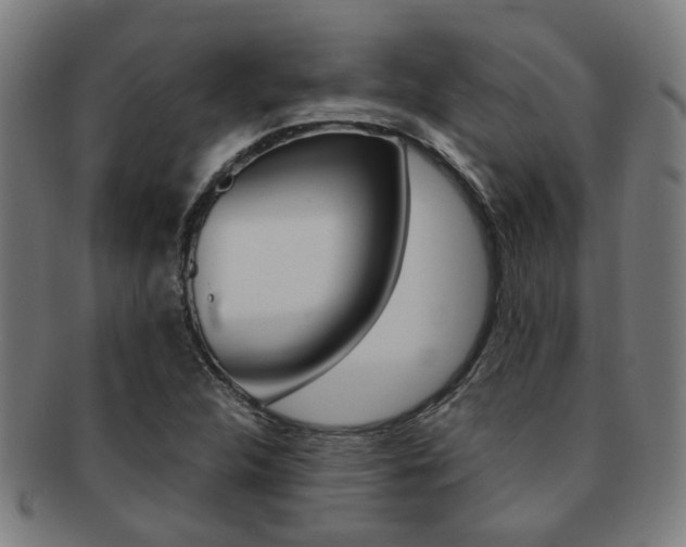 X0000091901312200709051056