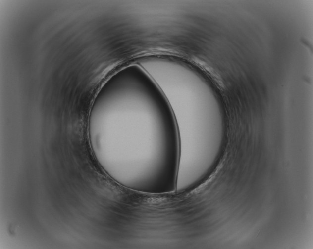 X0000091901313200709051056
