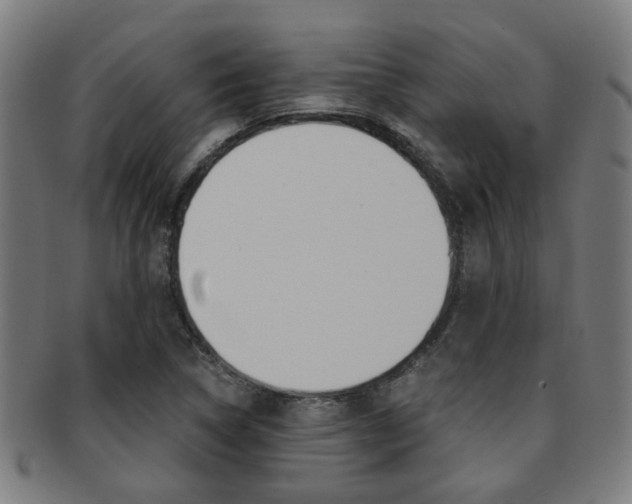 X0000091901314200709051056