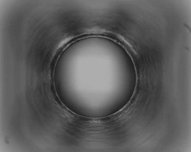X0000091901315200709051056