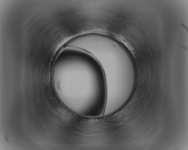 X0000091901316200709051056