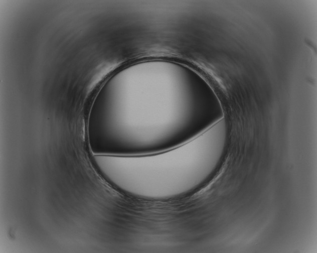 X0000091901317200709051056
