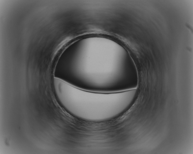 X0000091901318200709051056