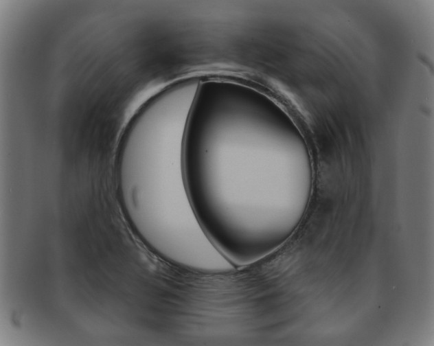 X0000091901320200709051056