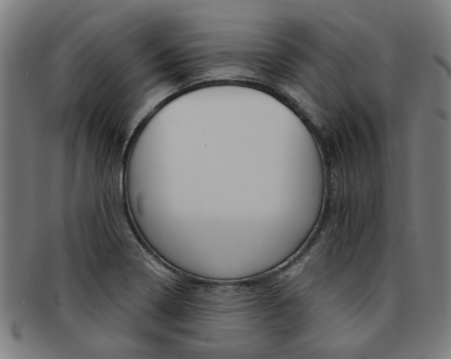 X0000091901322200709051056