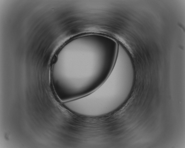 X0000091901323200709051056