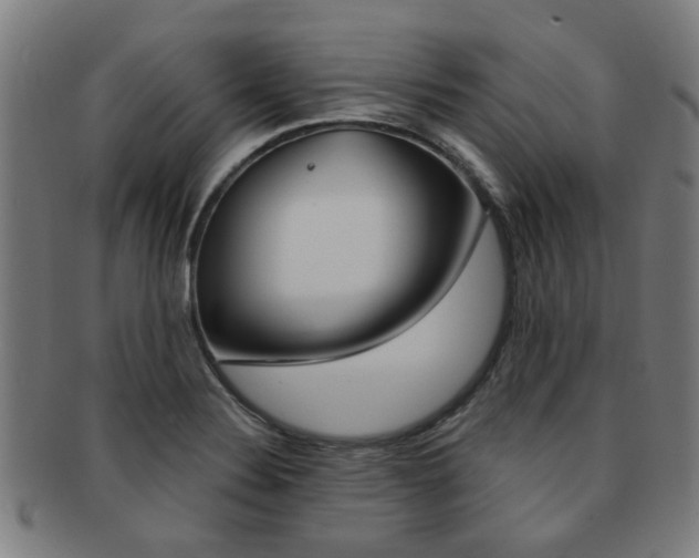 X0000091901324200709051056
