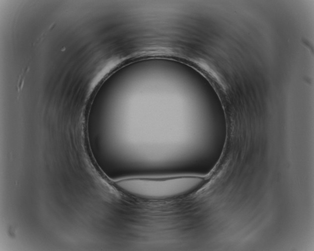 X0000091901325200709051056