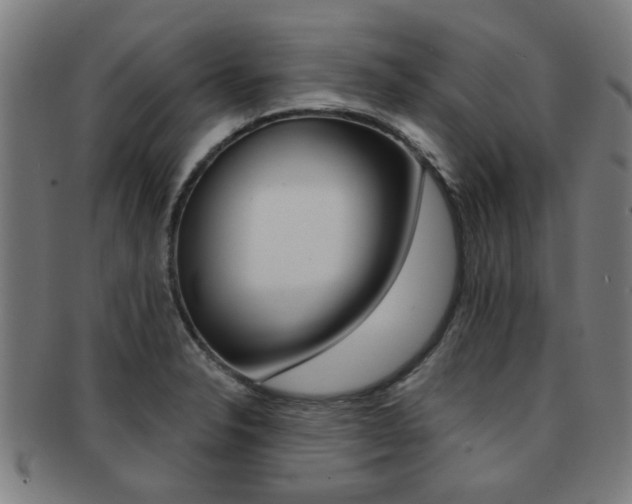 X0000091901326200709051056