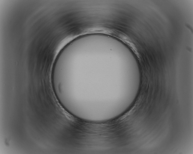 X0000091901328200709051056