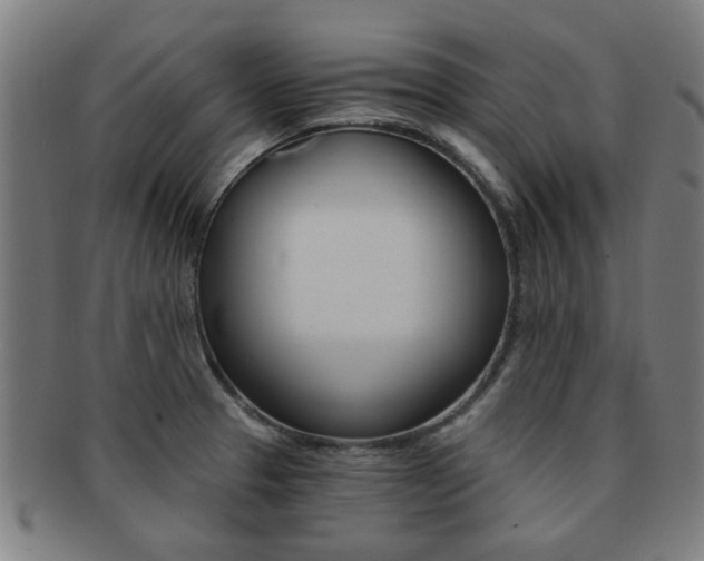 X0000091901329200709051056