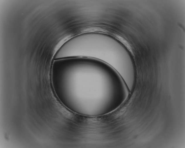 X0000091901330200709051056
