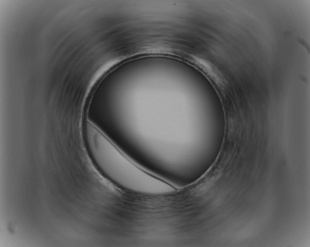X0000091901331200709051056