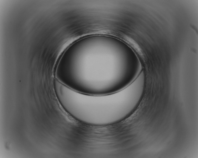 X0000091901332200709051056